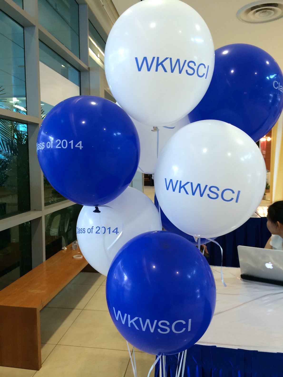 Helium advertsing balloon printing