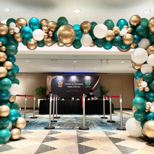 Organic Rectangle Balloon Arch with FREE STANDING (BIG)