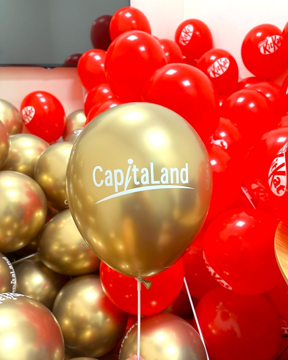 Customised Brand Balloon Printing Production Singapore