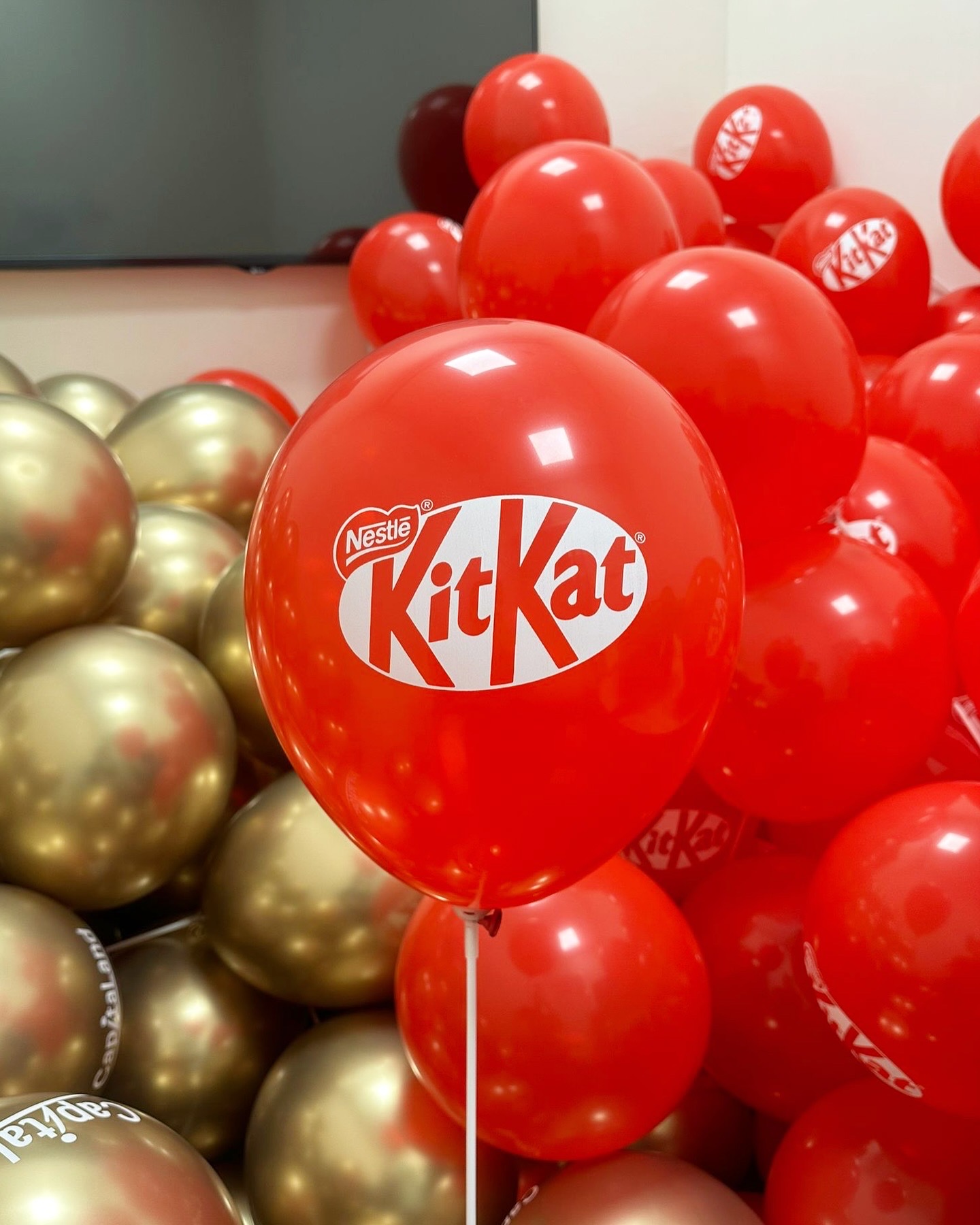 Customised Brand Logo Balloon Printing